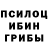 Галлюциногенные грибы прущие грибы Jose Cucumber