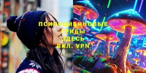бошки Аркадак