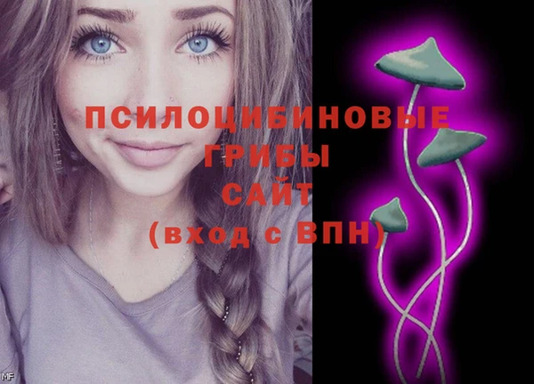 бошки Аркадак
