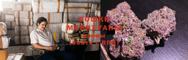 бошки Аркадак