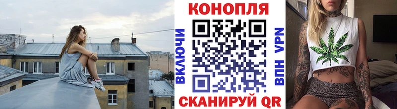 Канабис Bruce Banner Пугачёв